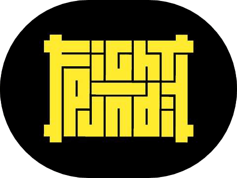 Fight Pundit logo